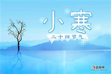 小寒物候:雁北乡,鹊始巢,雉始鸲 小寒物候:雁北乡,鹊始巢,雉始鸲