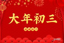 大年初三肥猪拱门的寓意是什么