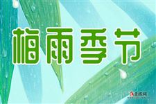 入梅是什么意思:进入梅雨期