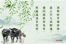 最美清明诗词:清明时节雨纷纷,路上行人欲断魂