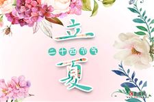 小满的时候开什么花