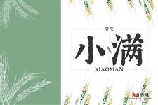 小满是夏天第几个节气