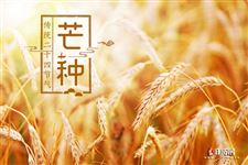 小满过了是什么节气