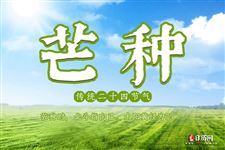 2020年芒种后九天交运怎么算