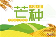 2020芒种天气热不热