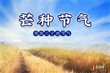 2020年芒种时间几点几分结束