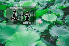夏至吃狗肉是否有益健康