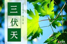 2020年初伏第一天是几月几号