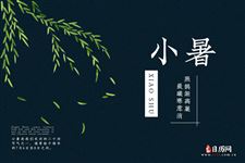 小暑大暑处暑是指三伏天吗