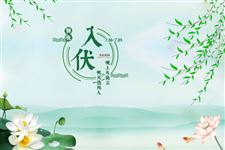 今年暑伏天是几月几号2020