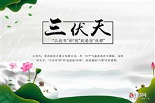 2020年的三伏天从哪天开始