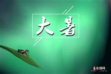 大暑是什么季节的节气