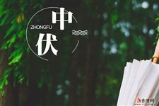 2020年二伏是哪一天