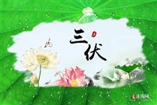今年几月几号入伏到几月几号出伏2020