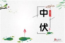 2020年闰中伏的意思