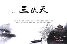 2020三伏灸一共灸几天