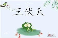 2020年七月几号进伏天