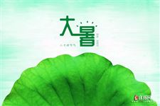 过了大暑是什么节气