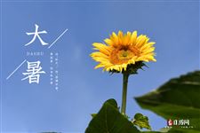 2020过了大暑还有多久热头