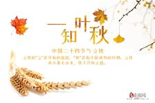 2020年立秋结婚好吗 2020年立秋结婚好吗