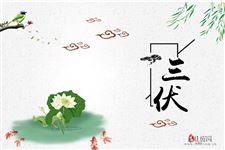 2020三伏天之后什么时候凉快