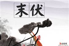 2020年末伏几号到几号