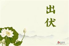2020出伏后会凉爽吗