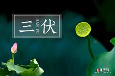 2020末伏从哪天算起