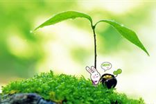 2013年什么时候立春?