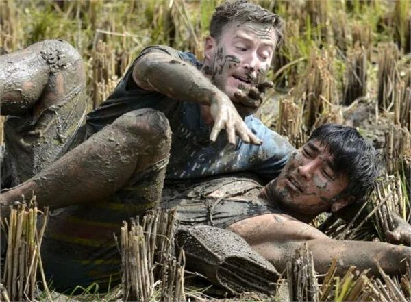 2017年芒种是哪一天?