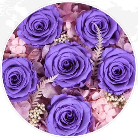 紫色花头像寓意图片