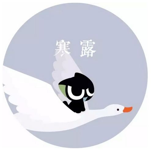 6361342688286819643044413.png