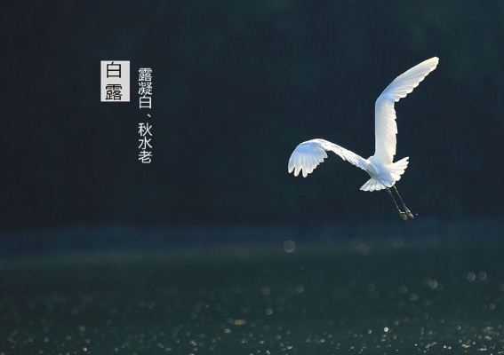 白露的传统习俗大全 白露的传统习俗有哪些? 白露的传统习俗大全 白露的传统习俗有哪些?