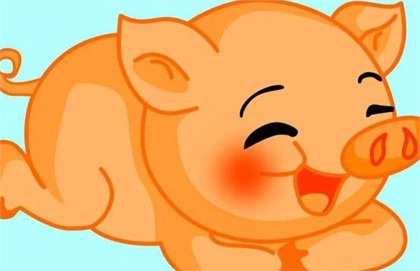 生肖:猪 生肖:猪