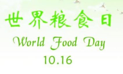 世界粮食日 世界粮食日