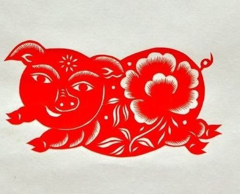 生肖猪 生肖猪