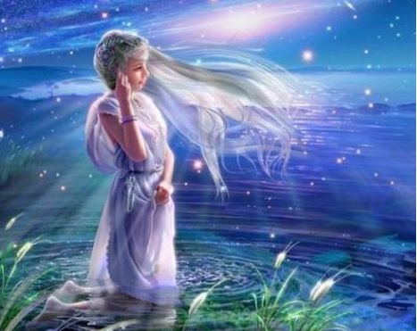 处女座 处女座