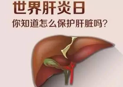 世界肝炎日 世界肝炎日
