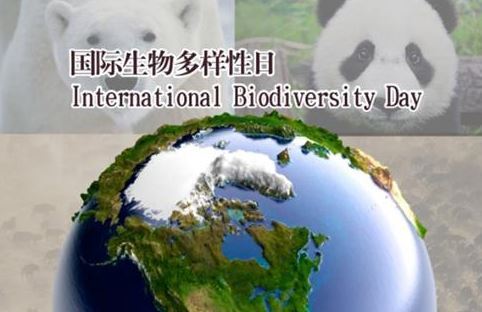 国际生物多样性日 国际生物多样性日