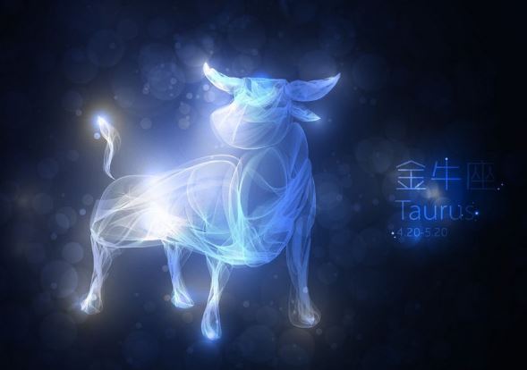 金牛座 金牛座