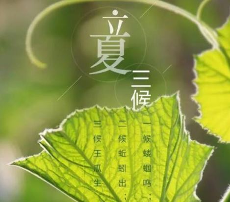 立夏 立夏
