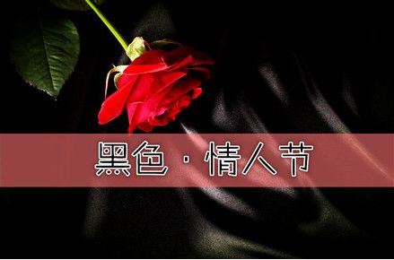 黑色情人节 黑色情人节