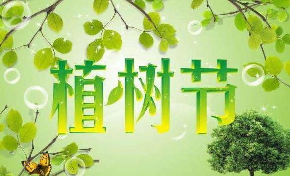 2019年3月12日是什麼節日:植樹節