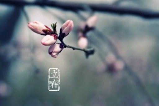立春 立春