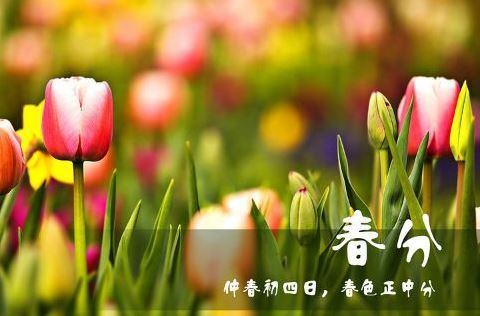 关于春分图片,春分图片大全 关于春分图片,春分图片大全