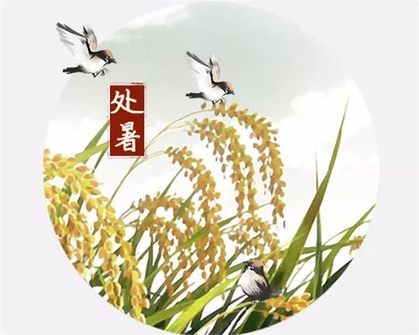 处暑 处暑