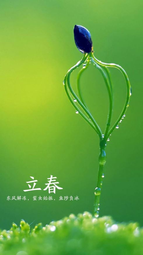 立春图片,立春图片素材大全 立春图片,立春图片素材大全