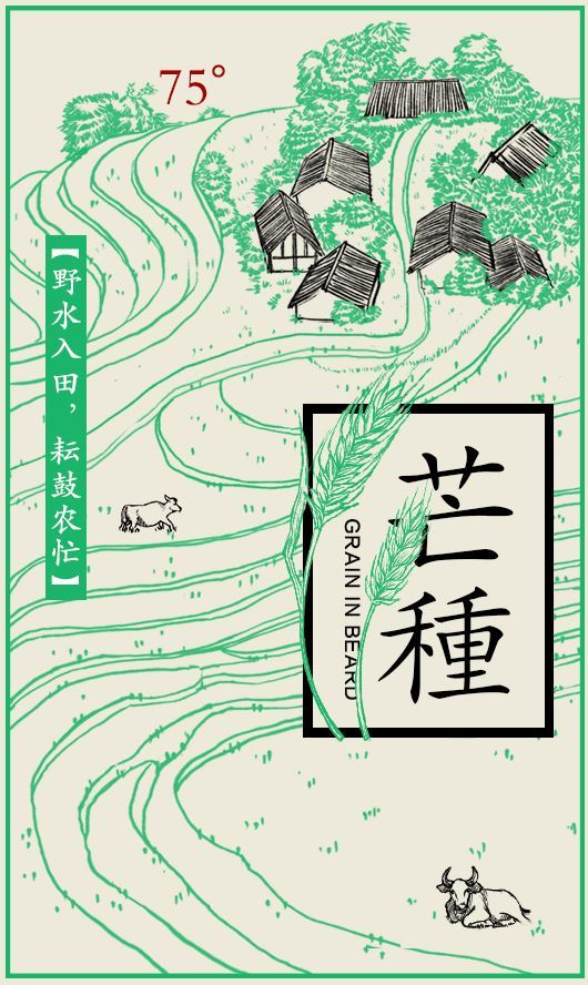 芒种节气图片,最美芒种图片欣赏 芒种节气图片,最美芒种图片欣赏