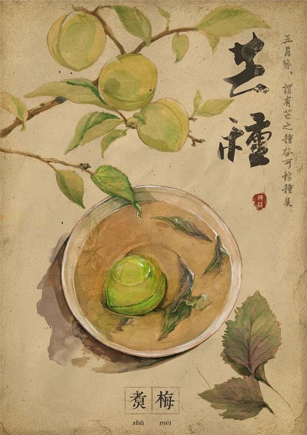 芒种节气图片,最美芒种图片欣赏 芒种节气图片,最美芒种图片欣赏