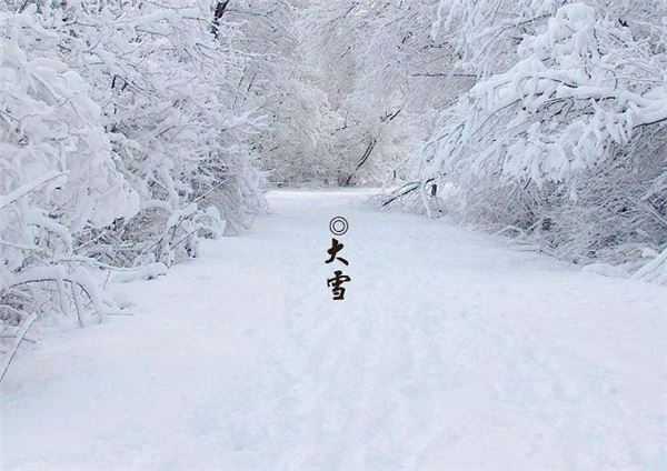 5.大雪图片,关于大雪节气的图片大全 5.大雪图片,关于大雪节气的图片大全